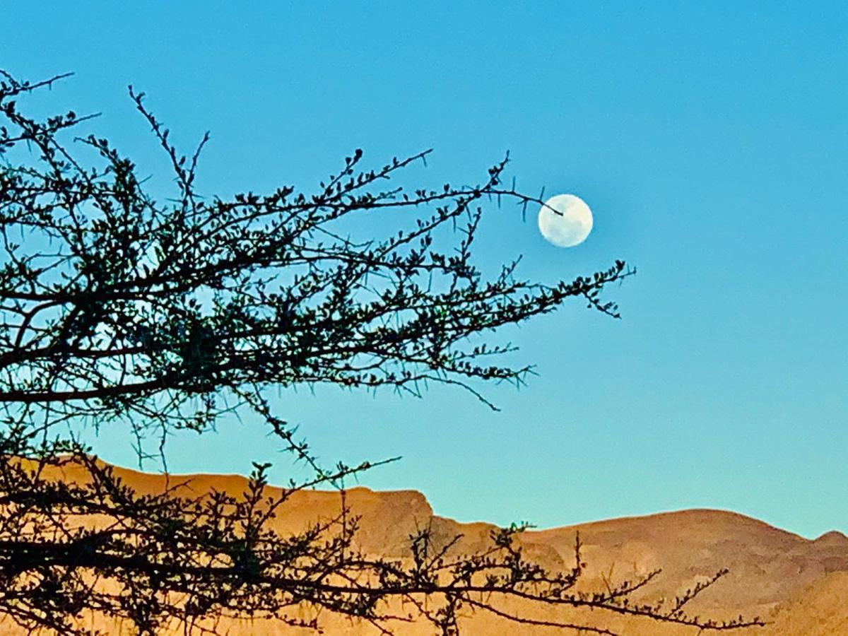 Agama Lodge Solitaire Dış mekan fotoğraf