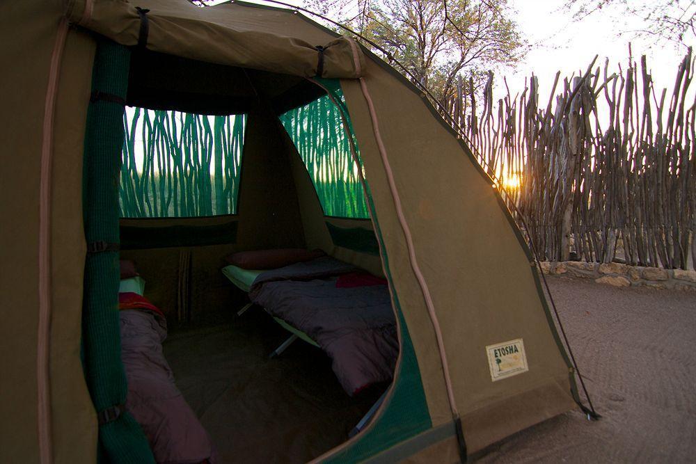 Agama Lodge Solitaire Dış mekan fotoğraf